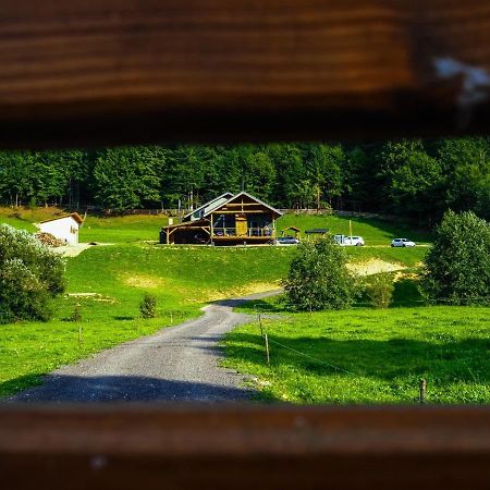 Valley House Cabana Cu Priveliste De Vis Sita Buzaului Bagian luar foto