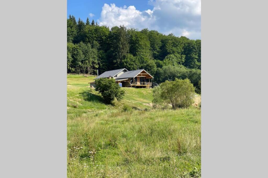 Valley House Cabana Cu Priveliste De Vis Sita Buzaului Bagian luar foto