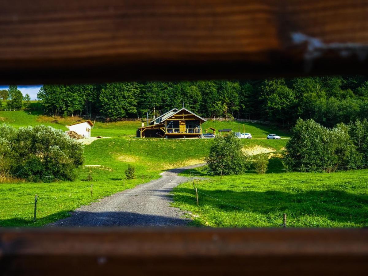 Valley House Cabana Cu Priveliste De Vis Sita Buzaului Bagian luar foto